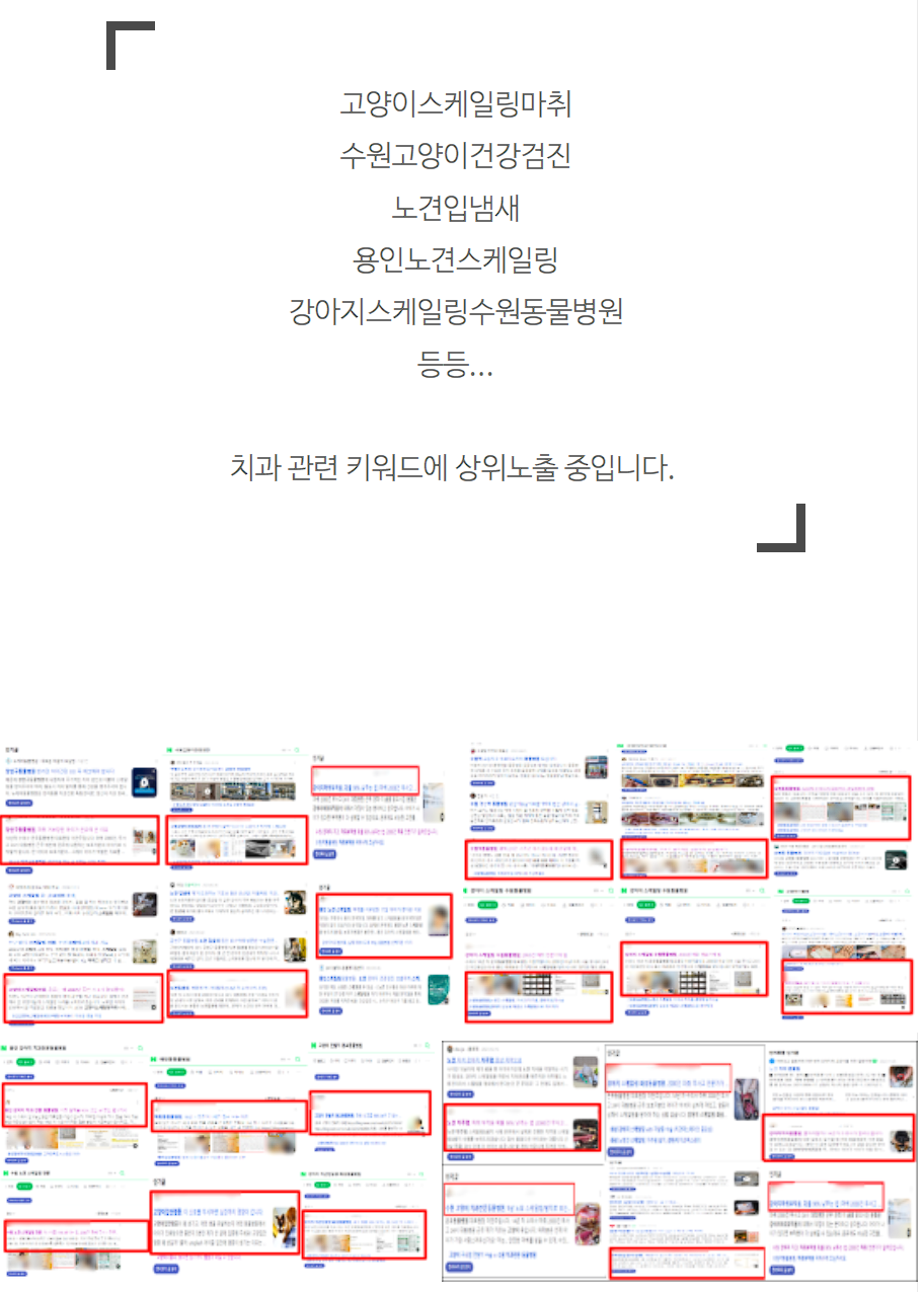 치과매출, 8개얼 만에 최고 신환 / 매출 달성한 1가지 방법 관련 이미지