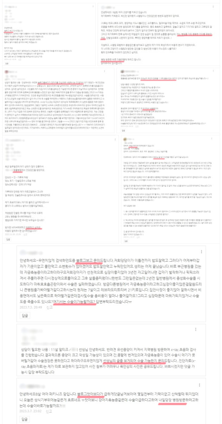 동물병원광고, 폐업 위기에서 매출 4배 상승 / 전국에서 방문하는 병원이 관련 이미지