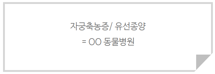 동물병원광고, 폐업 위기에서 매출 4배 상승 / 전국에서 방문하는 병원이 관련 이미지