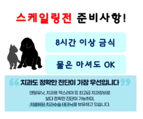 치과매출, 8개얼 만에 최고 신환 / 매출 달성한 1가지 방법 관련 이미지