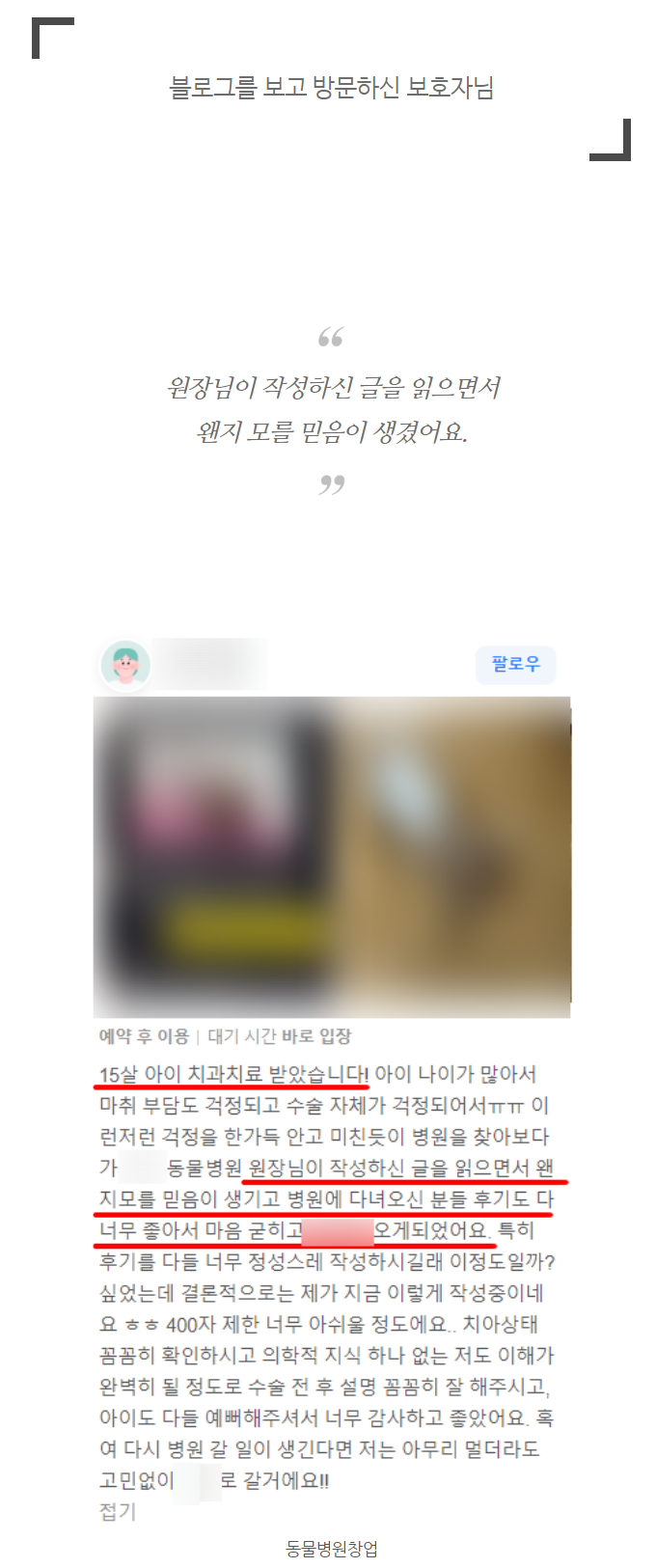 동물병원창업, 원하는 고객이 5개월 만에 2배 이상 증가한 이유 (실제 관련 이미지