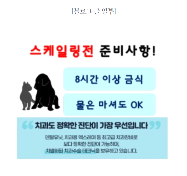 동물병원창업, 원하는 고객이 5개월 만에 2배 이상 증가한 이유 (실제 관련 이미지