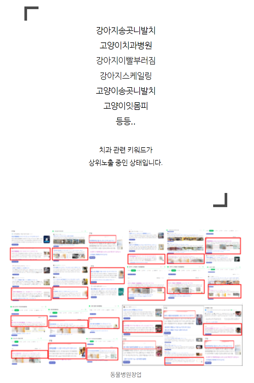 동물병원창업, 원하는 고객이 5개월 만에 2배 이상 증가한 이유 (실제 관련 이미지