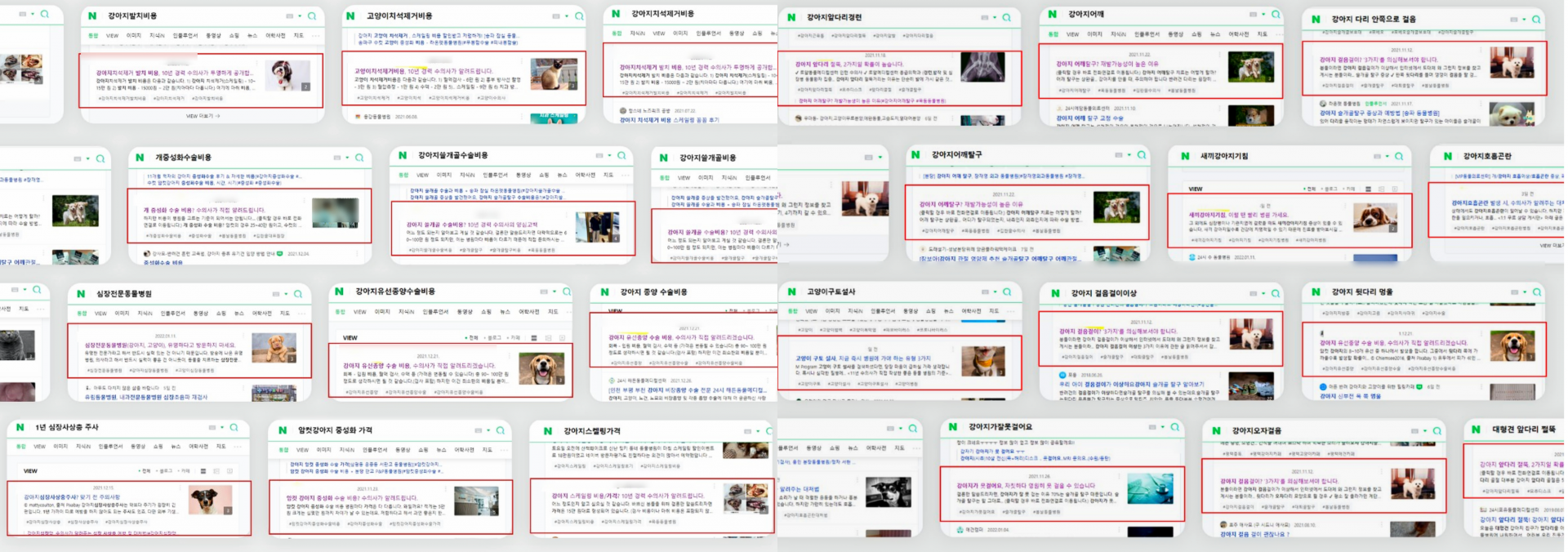 병원블로그마케팅, 1년동안 유입량 100배 격차 벌어진 이유 관련 이미지