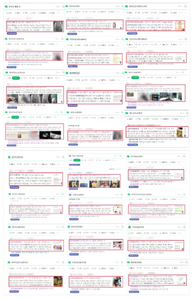 동물병원광고, 폐업 위기에서 매출 4배 상승 / 전국에서 방문하는 병원이 관련 이미지