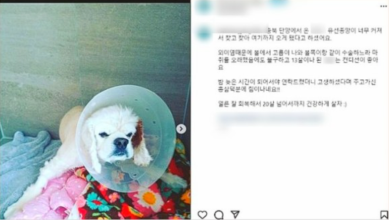 병원마케팅, 1년만에 매출 4배 상승한 비결 관련 이미지