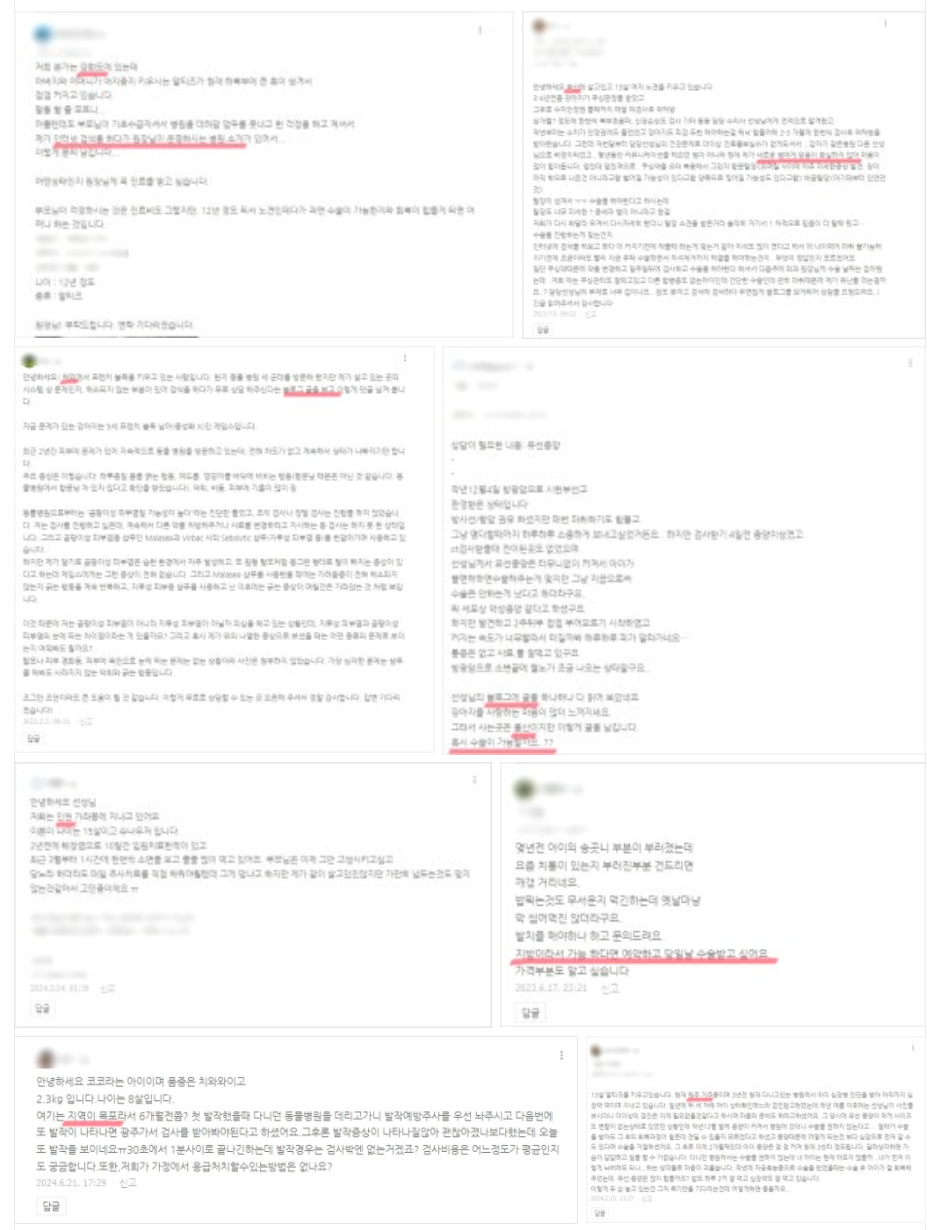 동물병원광고, 폐업 위기에서 매출 4배 상승 / 전국에서 방문하는 병원이 관련 이미지