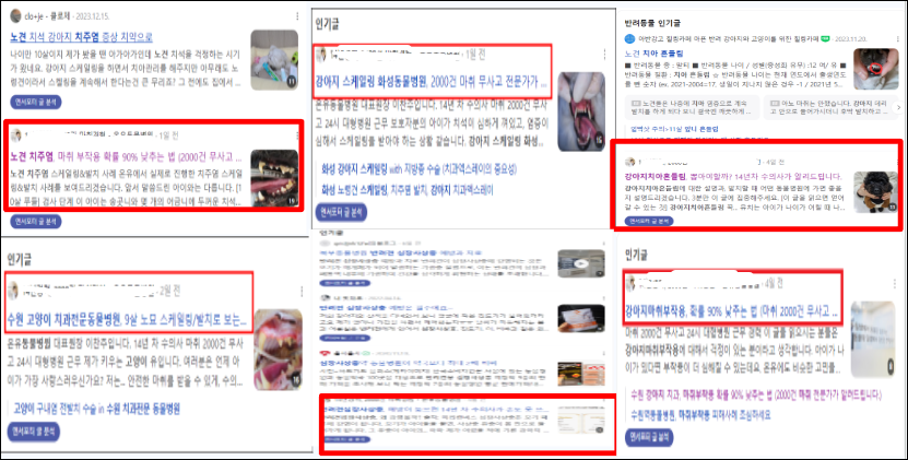 "약 100여개 키워드 블로그 상위노출"